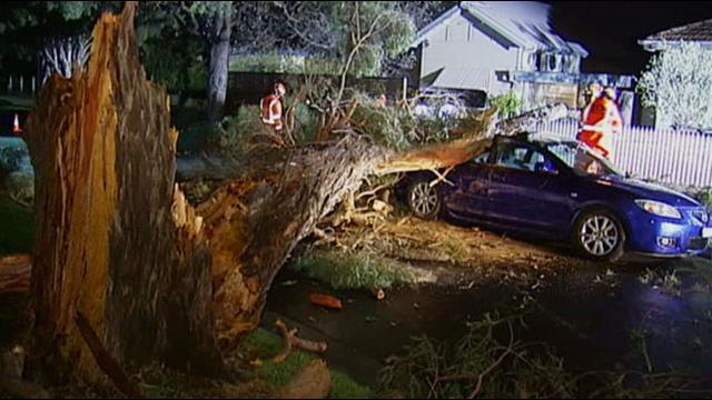 Wild winds lash Melbourne homes