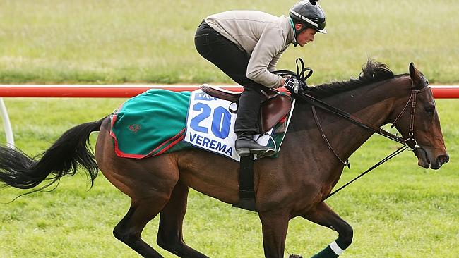 ugly-side-melbourne-cup-horse-racing