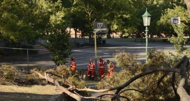 Bendigo New Year’s Eve fireworks cancelled after girl’s death in Rosalind Park