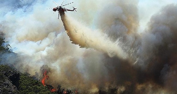 grampians-bushfires