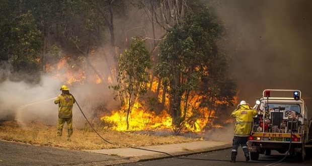 About 52 houses razed by blaze, one dead and almost 400 hectares land burning in Perth Hills bushfire