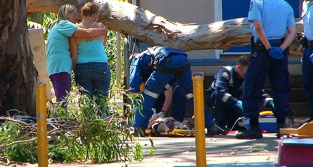 Girl, 8, dies as tree branch falls at Pitt Town school, Sydney