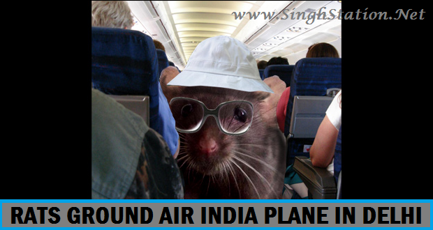 rats-air-india-plane