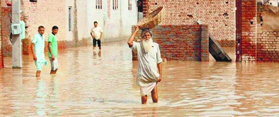 punjab-rain-havoc