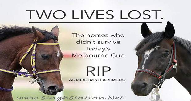 two-horses-admire-ratki-dead-melbourne-cup-day