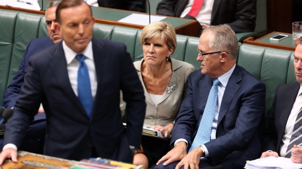 turnbull julie bishop