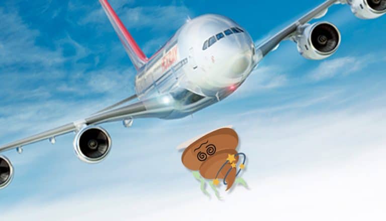 airline poo