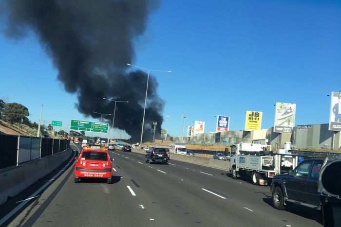 essendon plane crash