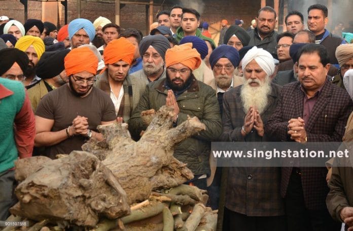 inderpreet chadha cremation