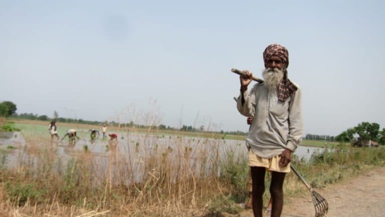 water crisis punjab