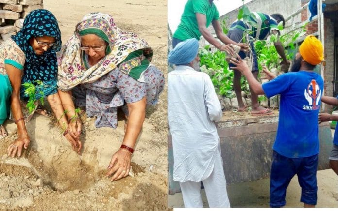 sikh relief plants trees village bajakhana