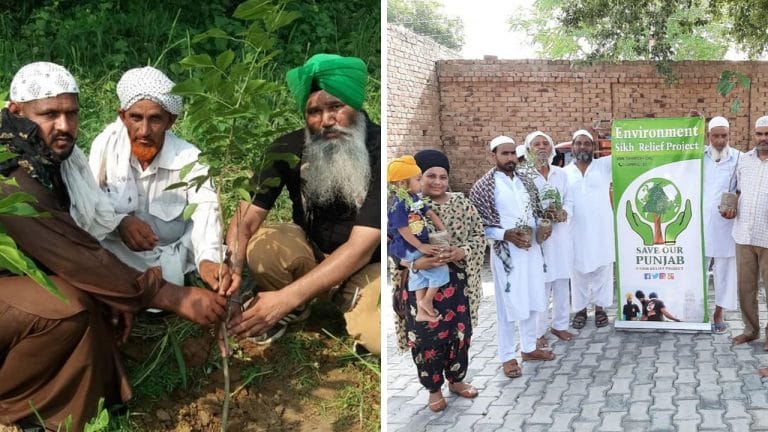 sikh relief tree plantation mosque